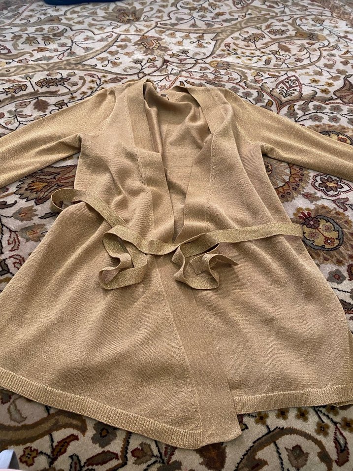 Parlak simli hirka - Görsel 4