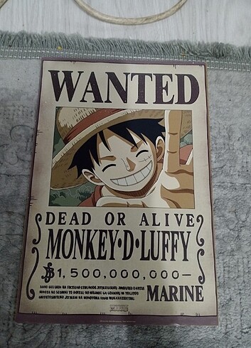 Beden çeşitli Renk One piece poster