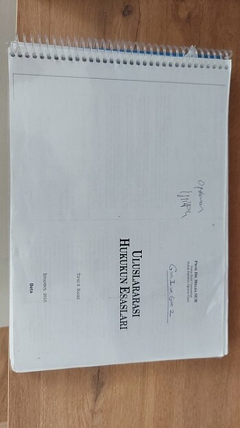 Uluslarasi hukuk prof melda sur