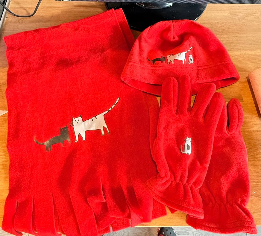 Kedili polar atkı bere eldiven seti - Görsel 5