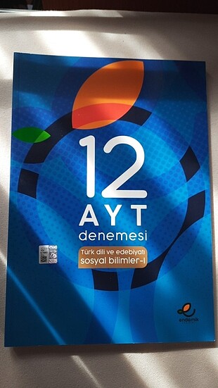 Endemik Ayt edebiyat denemesi 