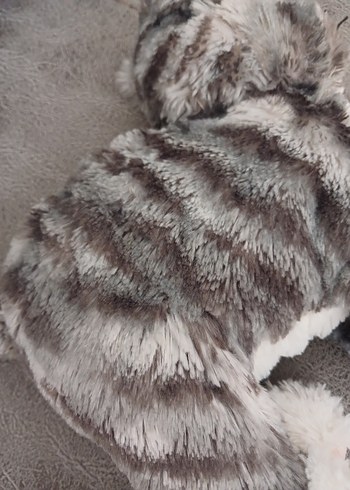 Gri Peluş Kedi Oyuncak - Görsel 5