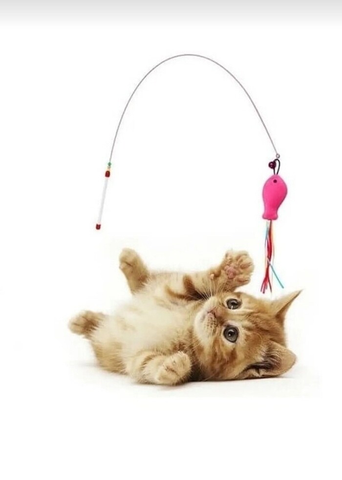 Balıklı olta kedi oyuncağı 90 cm - Görsel 2