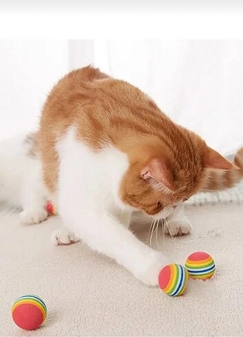 Kedi topu oyuncağı 4'lü - Görsel 2