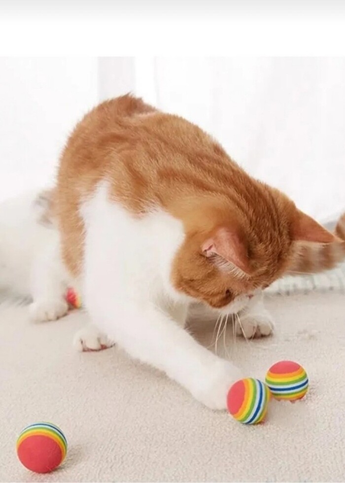 Kedi topu oyuncağı 4'lü - Görsel 2