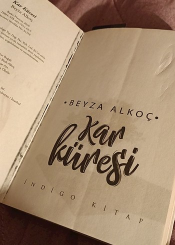 Kar Küresi - Beyza Alkoç - Görsel 4