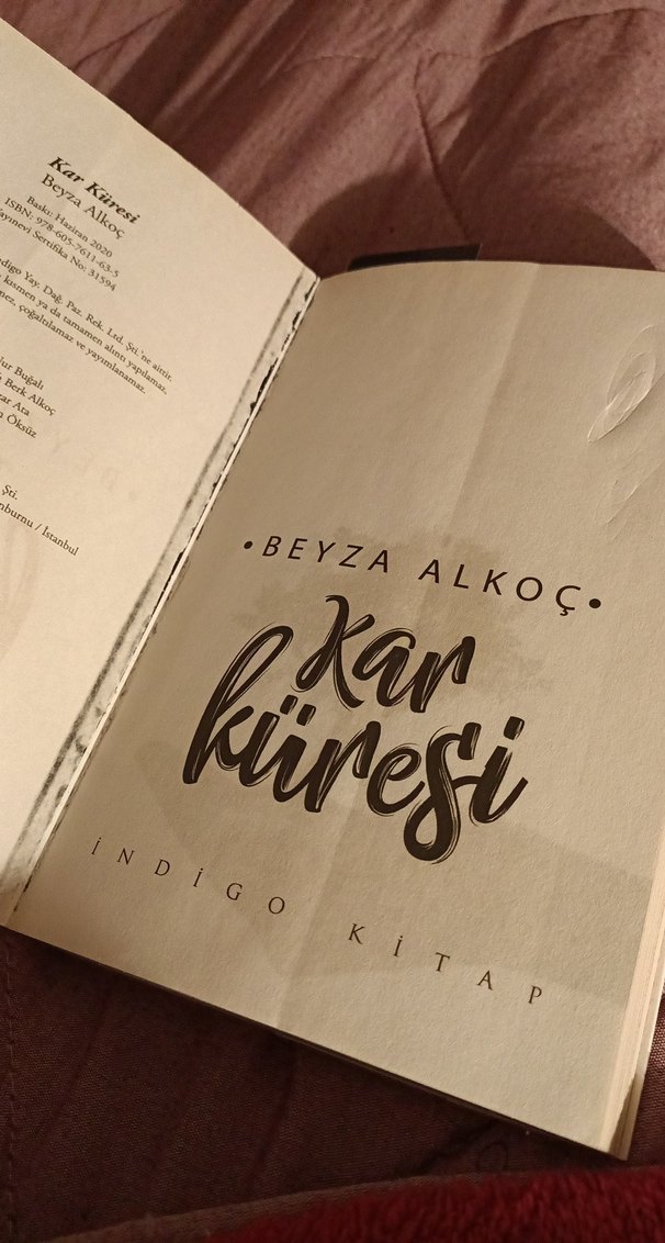 Kar Küresi - Beyza Alkoç - Görsel 4