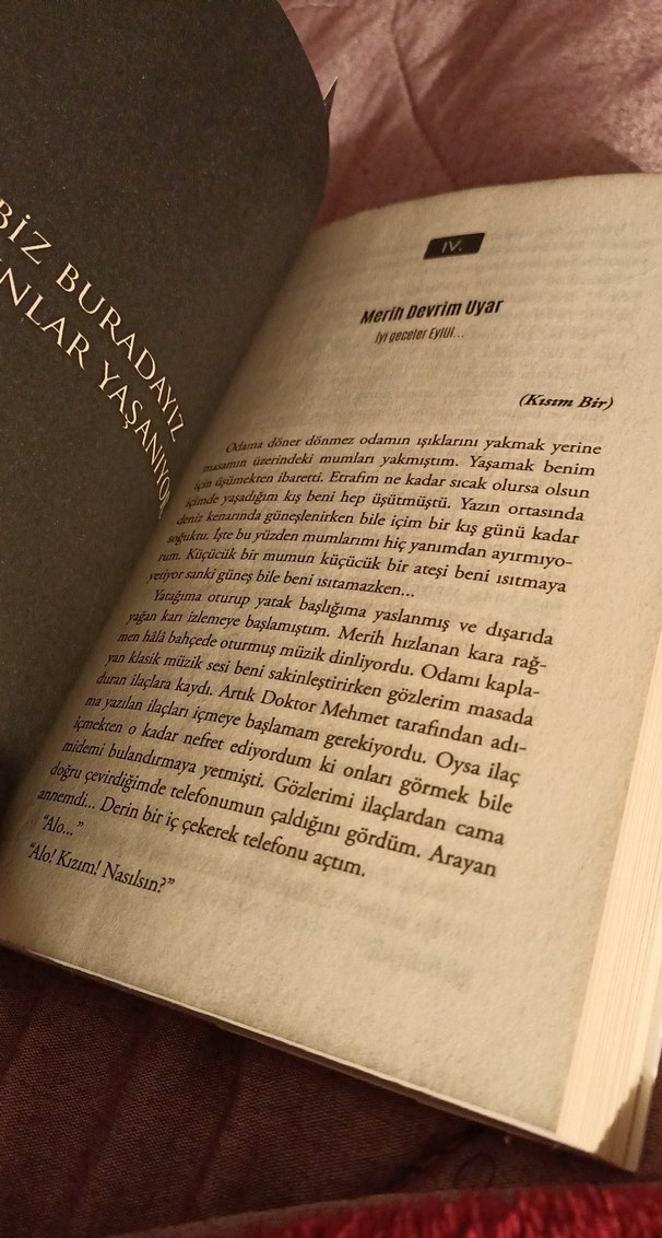 Kar Küresi - Beyza Alkoç - Görsel 2