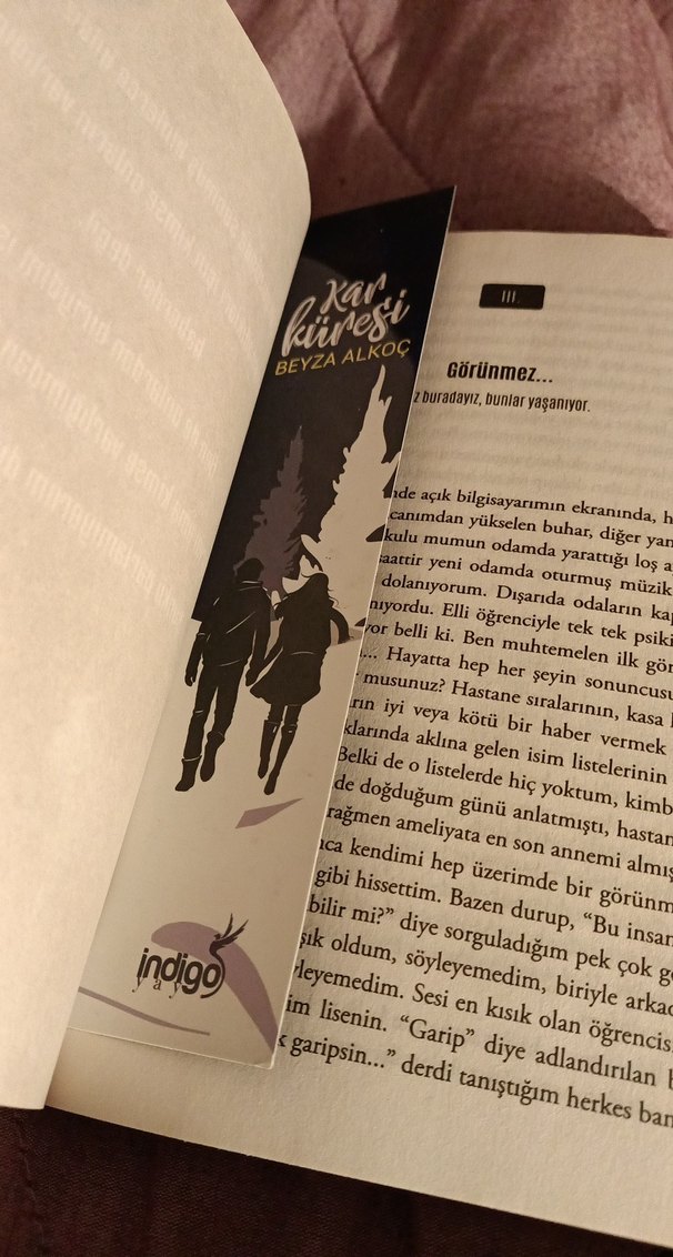 Kar Küresi - Beyza Alkoç - Görsel 3