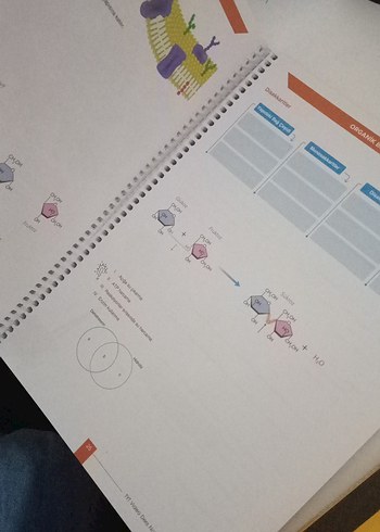 TYT Dr. Biyoloji Video Ders Kitabı ve Soru Bankası - Görsel 2