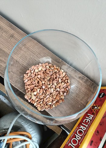 Şeffaf Yuvarlak Akvaryum - Görsel 2