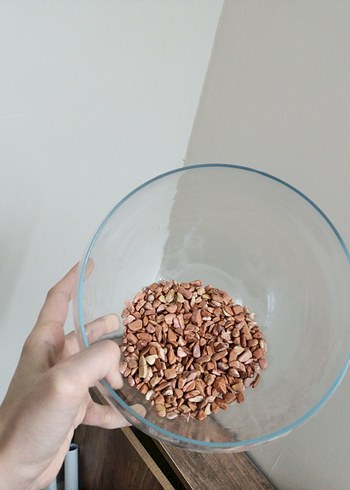 Şeffaf Yuvarlak Akvaryum - Görsel 5