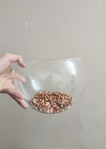 Şeffaf Yuvarlak Akvaryum - Görsel 4