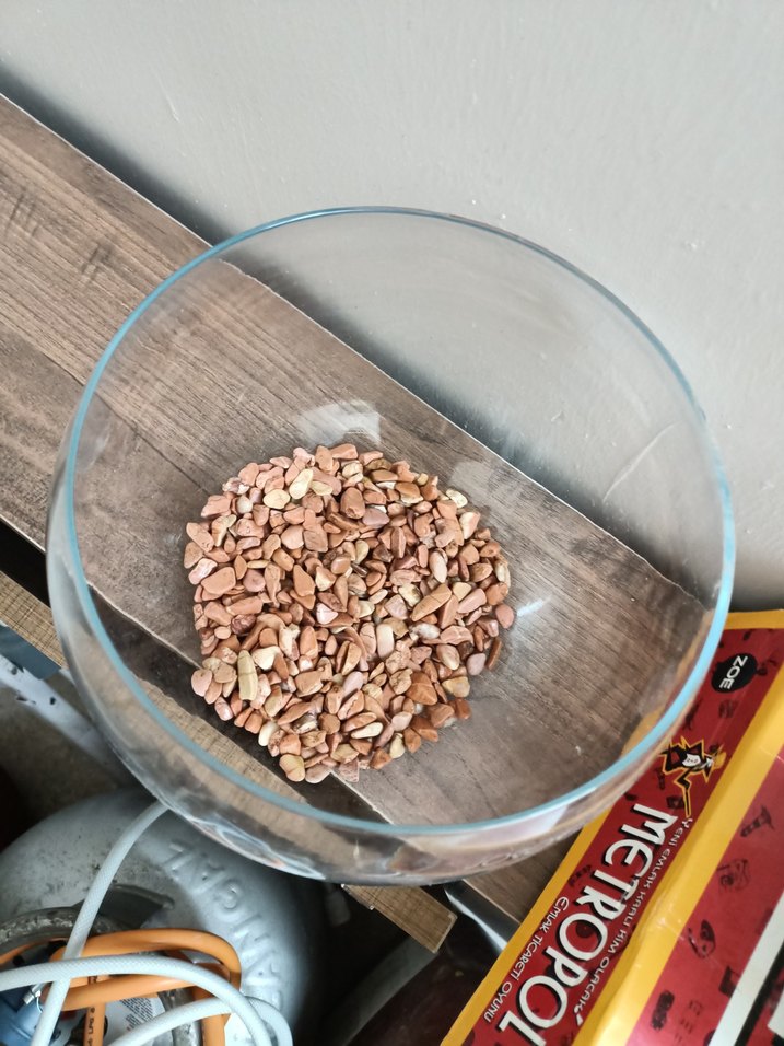 Şeffaf Yuvarlak Akvaryum - Görsel 2