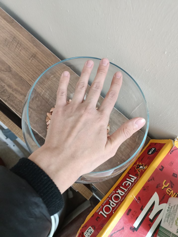 Şeffaf Yuvarlak Akvaryum - Görsel 3