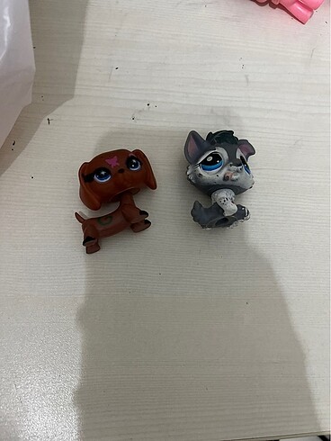  Miniş LPS