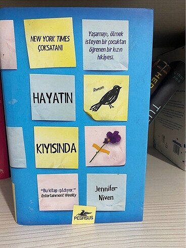 Hayatın Kıyısında