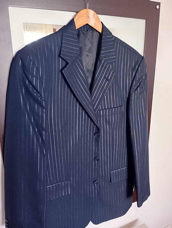 Erkek Mavi Çizgili Düğmeli Ceket - Görsel 2