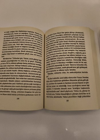 Beden od İskender Pala Roman