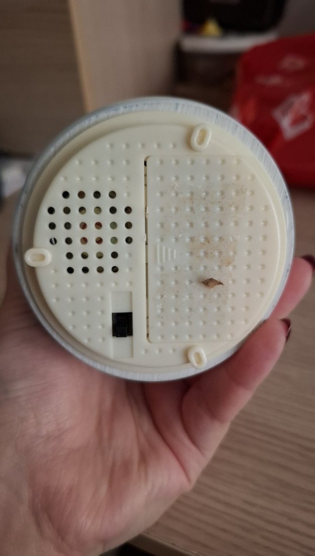 Keman Çalan Kadın Kar Küresi Biblosu - Görsel 3