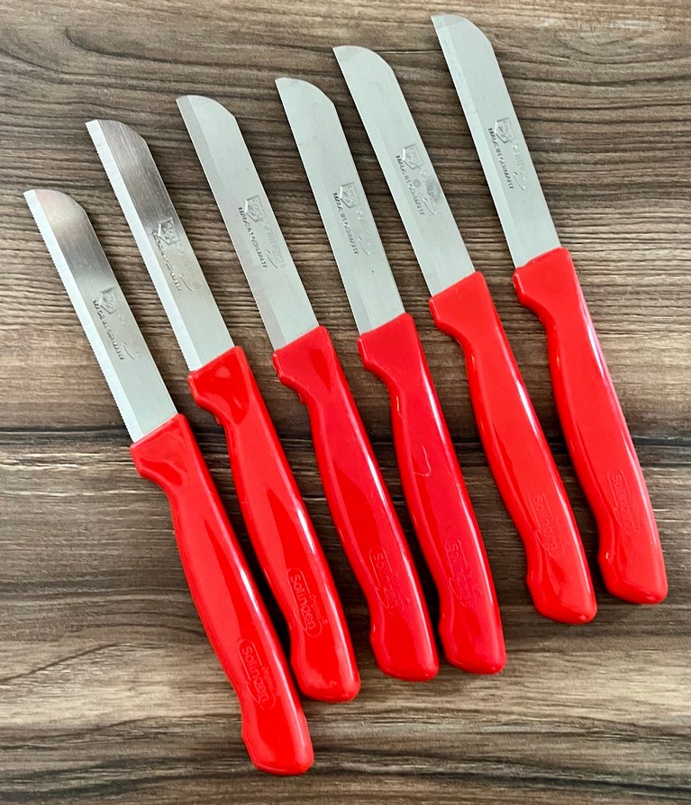 Solingen 6lı Bıçak Seti - Görsel 3