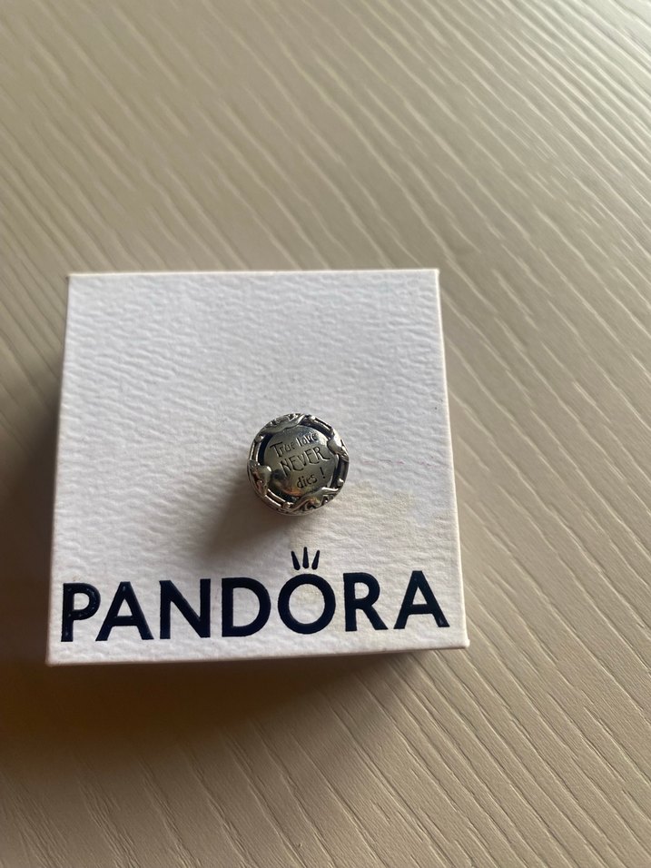 Noel gecesi kabusu Pandora charm - Görsel 3