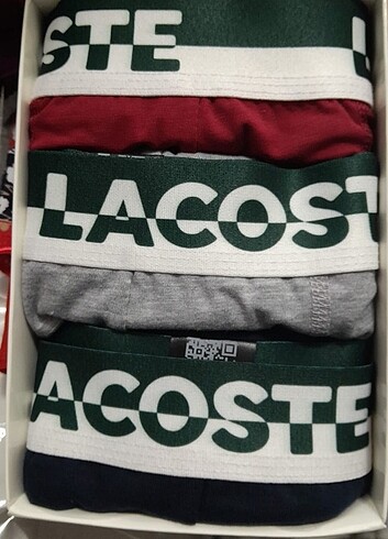 Erkek boxer - Görsel 4