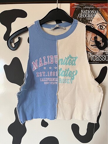 pull and bear crop