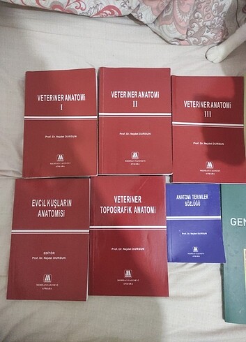 Veteriner anatomi kitap