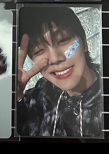 zb1 gyuvin pc