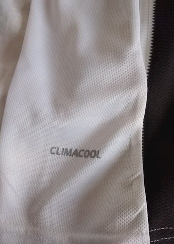 Erkek Siyah Beyaz Çizgili Kısa Kollu Forma - Görsel 4