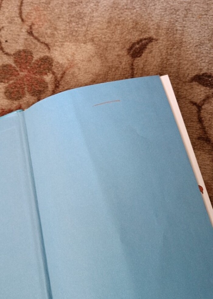 Kral Şakir macera geliyorum demez - Görsel 4