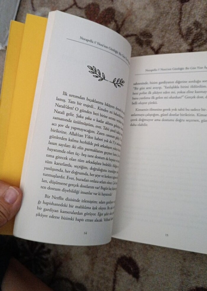 Noranın günlüğü bir gün yine aşığım  - Görsel 3