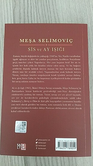  Sis ve Ay Işığı 