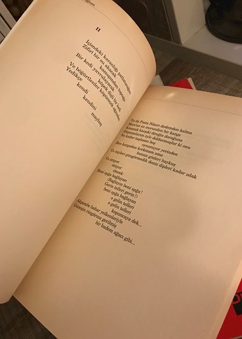 Can Yücel şiir Kitapları Seti - Görsel 4