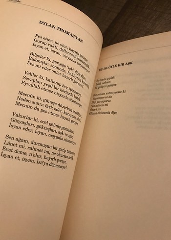 Can Yücel şiir Kitapları Seti - Görsel 5