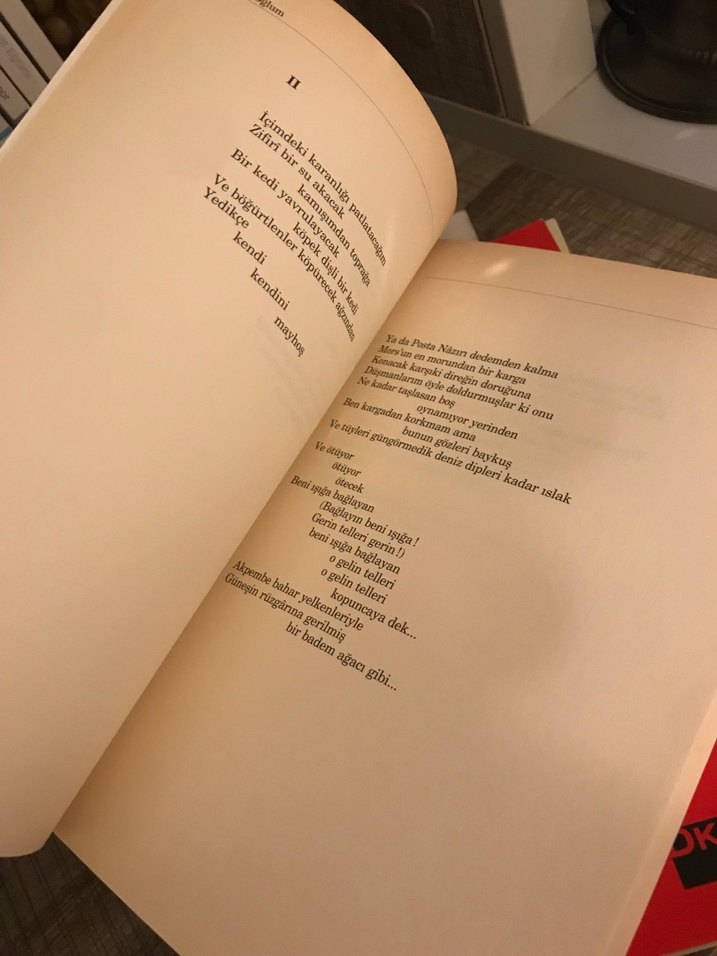 Can Yücel şiir Kitapları Seti - Görsel 4