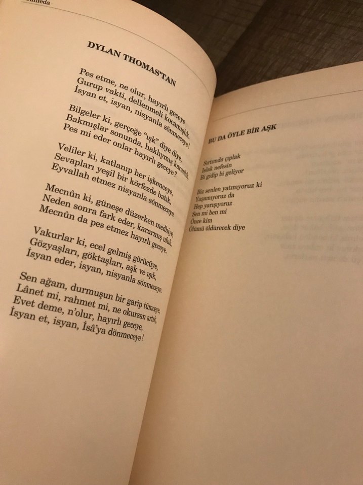 Can Yücel şiir Kitapları Seti - Görsel 5