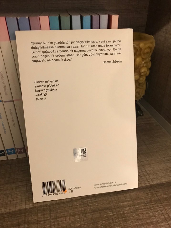 Sunay Akın - Antik Acılar Romanı - Görsel 2