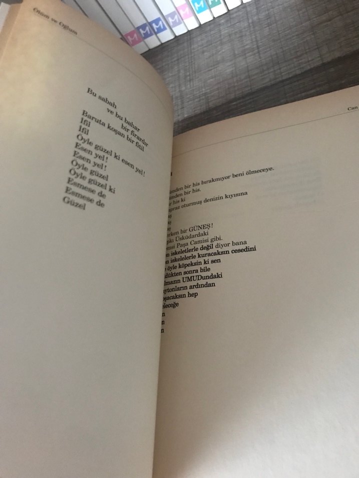 Ölüm ve Oğlum - Can Yücel kitap - Görsel 5