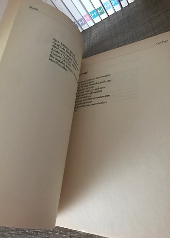 Maaile - Can Yücel Şiir kitap - Görsel 7