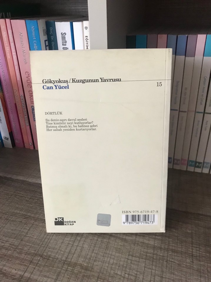 Gökyokuş / Kuzgunun Yavrusu - Can Yücel - Görsel 2