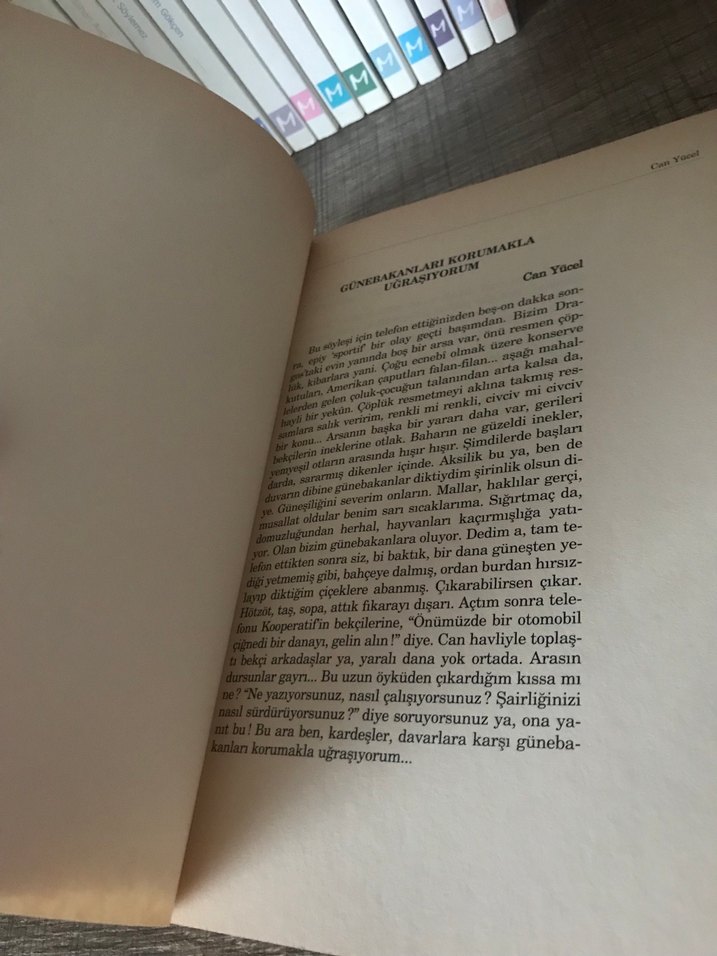 Gökyokuş / Kuzgunun Yavrusu - Can Yücel - Görsel 3