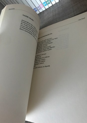 Can Yücel - Gezintiler - Görsel 5