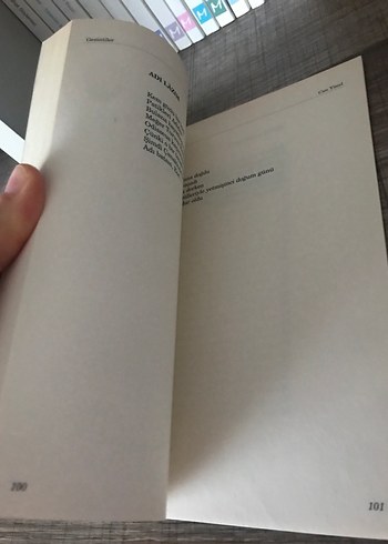 Can Yücel - Gezintiler - Görsel 4