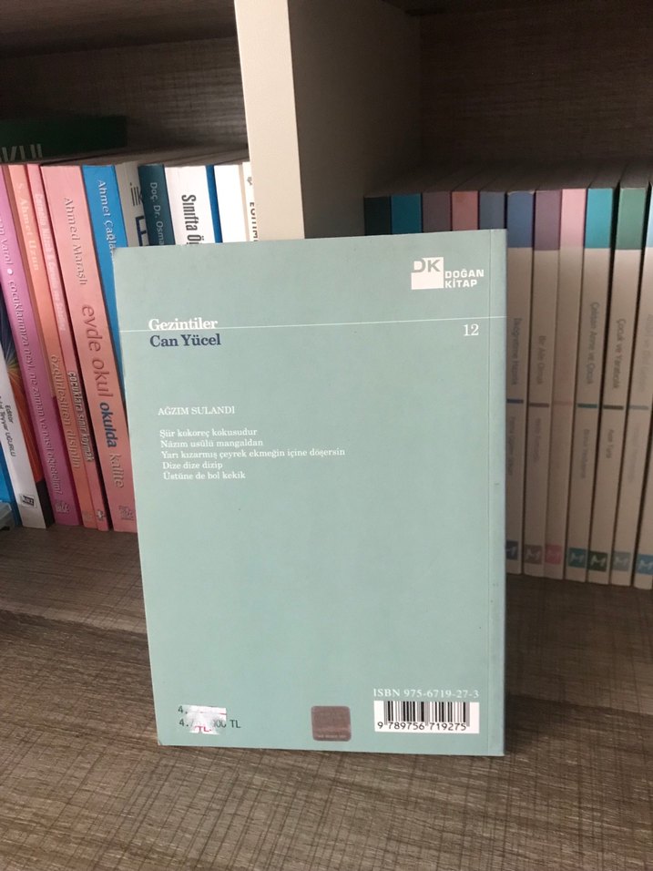 Can Yücel - Gezintiler - Görsel 2