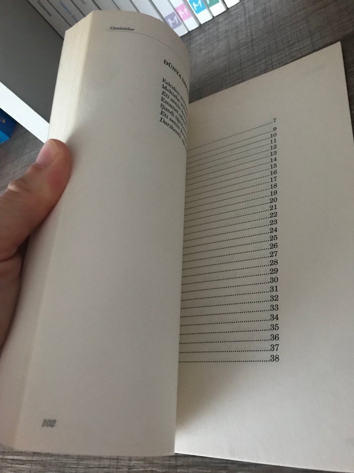 Can Yücel - Gezintiler - Görsel 3