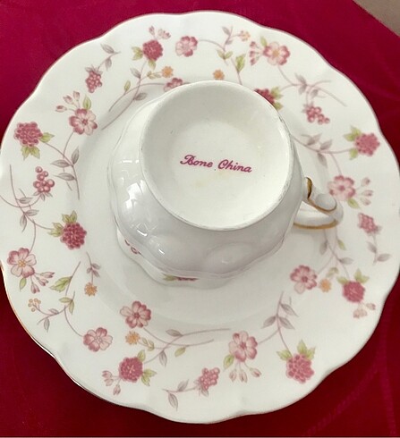 American Vintage Bone China porselen çay fincanı ve tabak takım