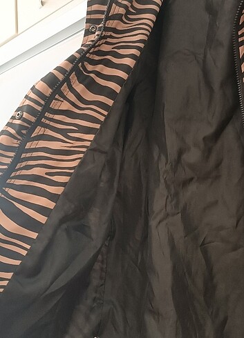 Zebra yagmurluk