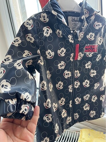 Walt Disney World Mickey mouse yağmur